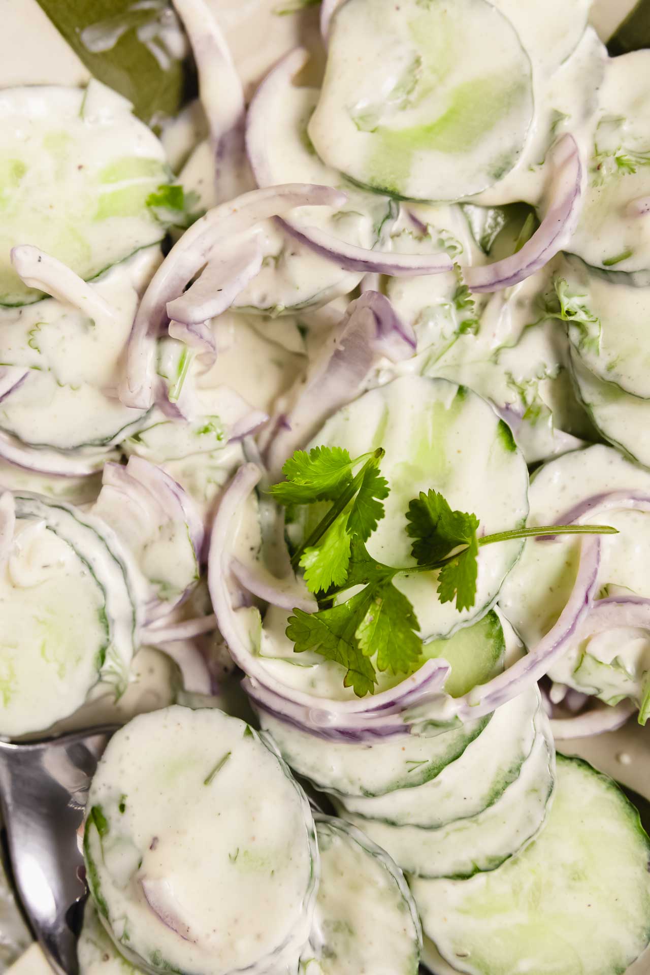 Creamy Cucumber Salad
