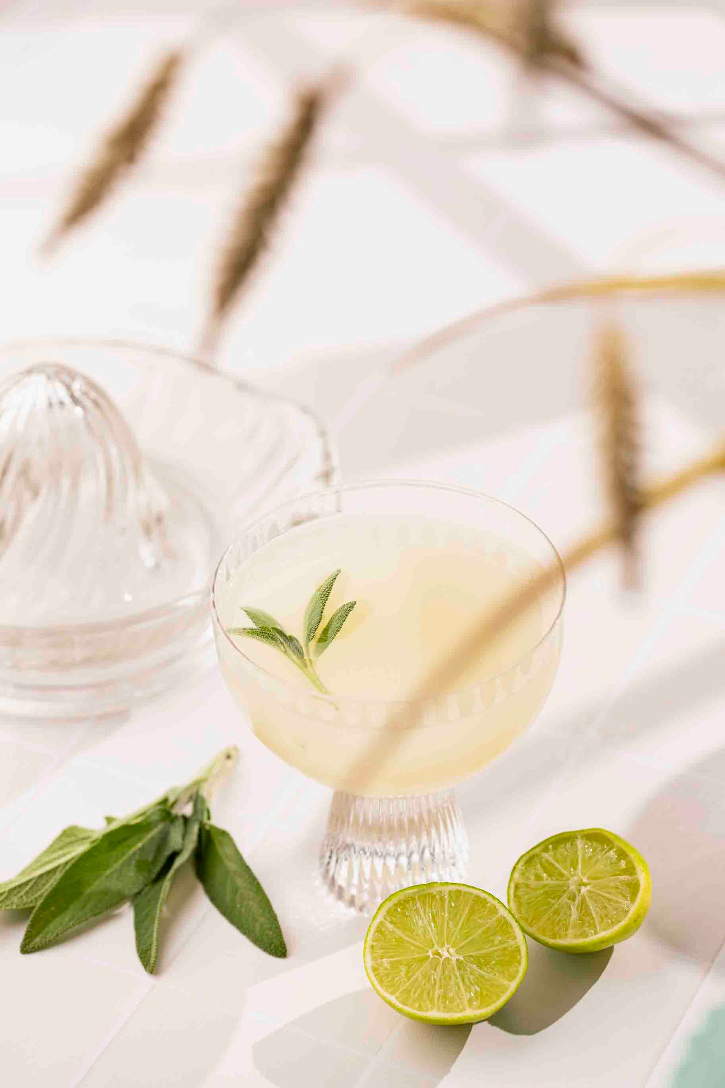 Sage Gimlet with Video