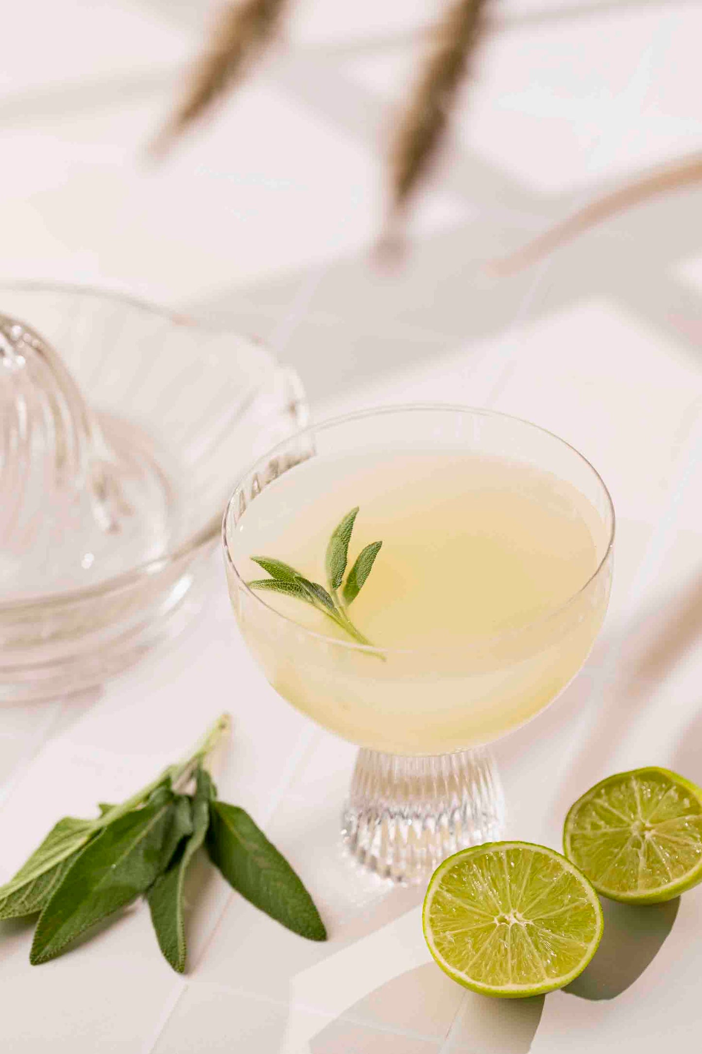 Sage Gimlet with Video