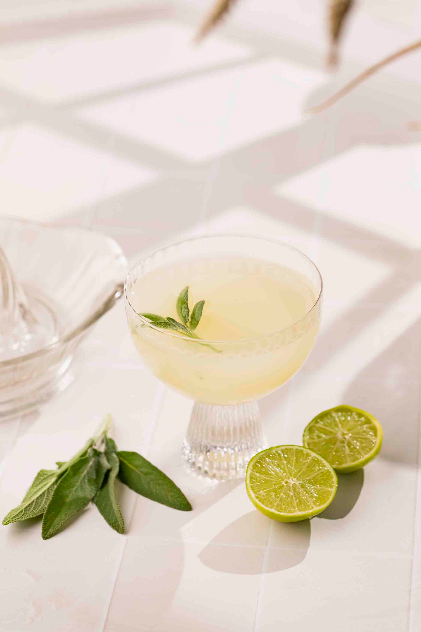 Sage Gimlet with Video
